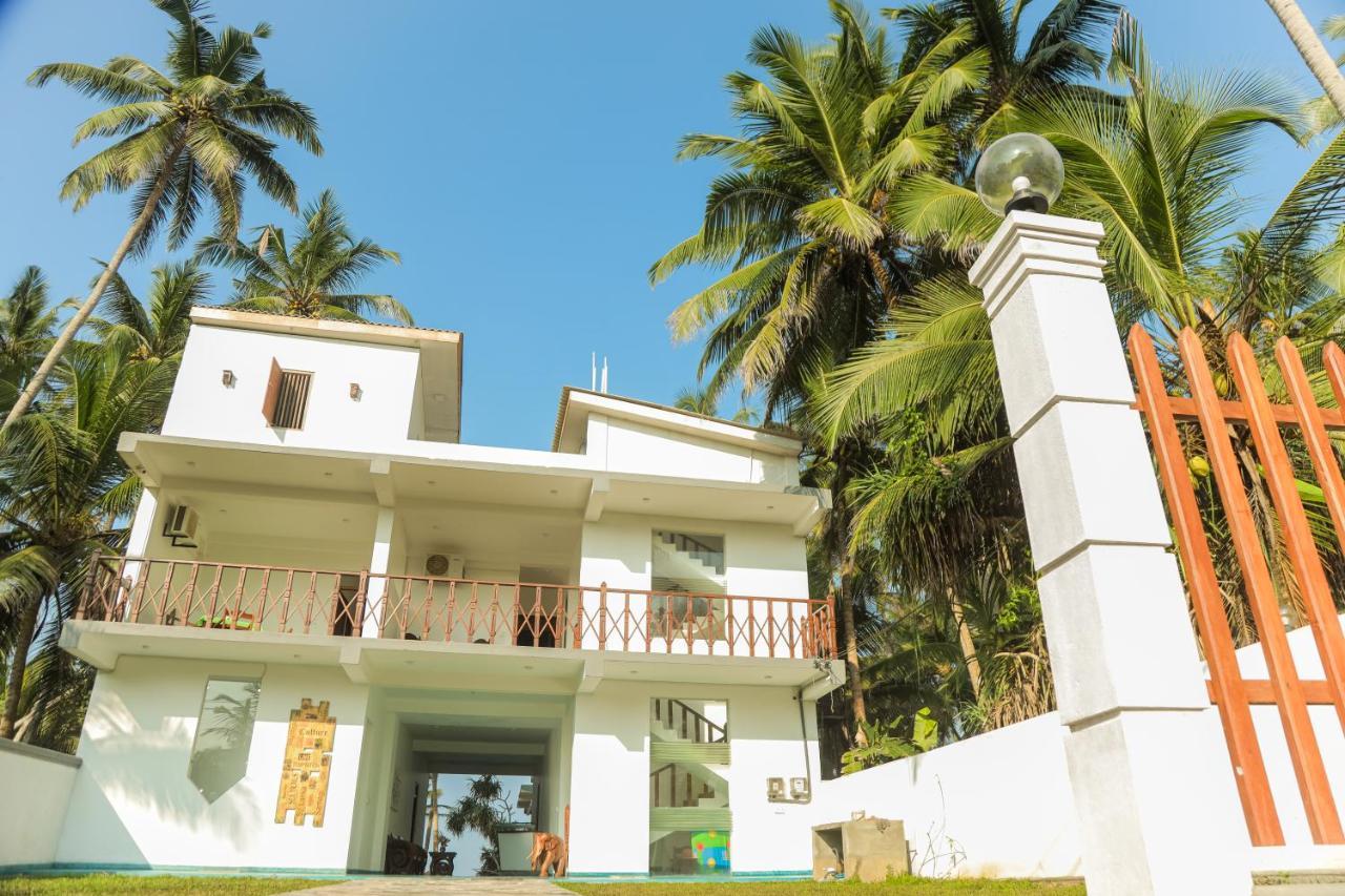 Sea Trails Bentota Otel Dış mekan fotoğraf